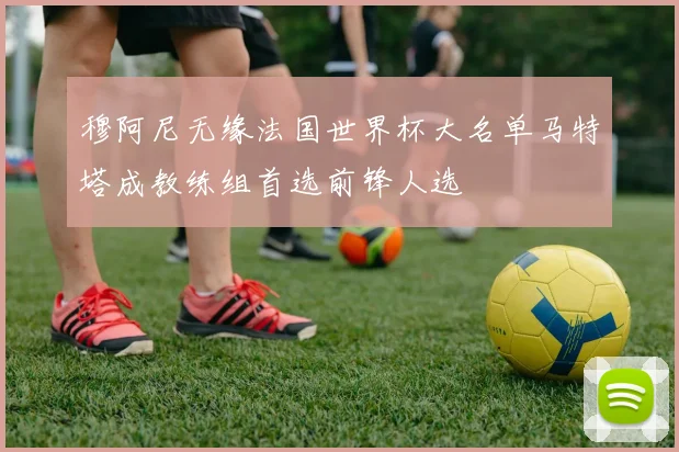 穆阿尼无缘法国世界杯大名单马特塔成教练组首选前锋人选