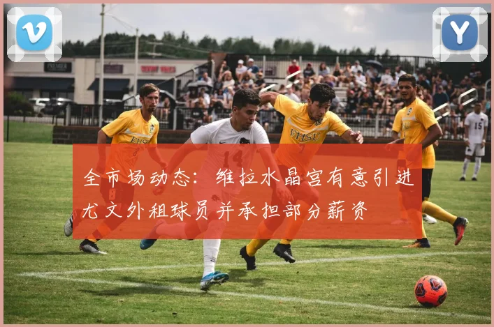全市场动态：维拉水晶宫有意引进尤文外租球员并承担部分薪资