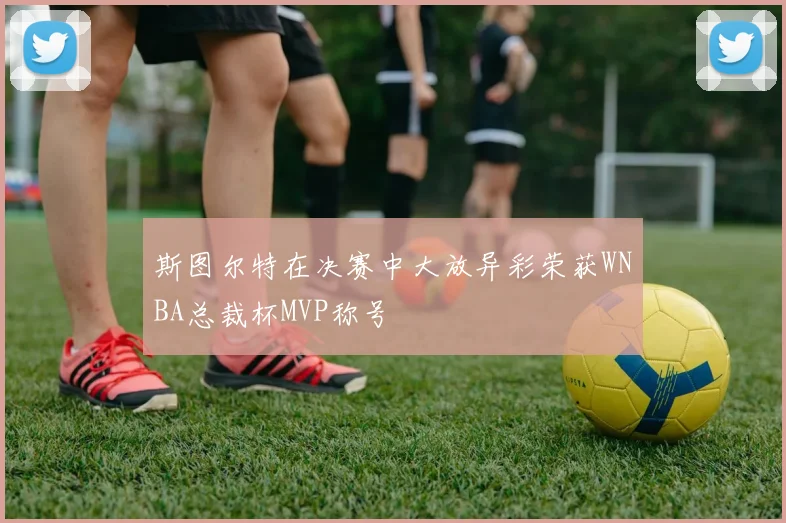 斯图尔特在决赛中大放异彩荣获WNBA总裁杯MVP称号