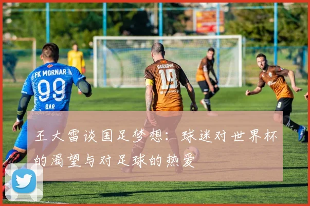 王大雷谈国足梦想：球迷对世界杯的渴望与对足球的热爱