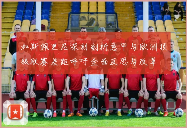 加斯佩里尼深刻剖析意甲与欧洲顶级联赛差距呼吁全面反思与改革